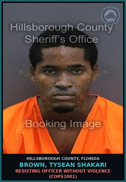CCW arrest card for BROWN, TYSEAN SHAKARI in Hillsborough County: RESISTING OFFICER WITHOUT VIOLENCE (COPS1001)