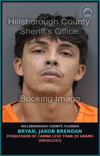 CCW arrest card for BRYAN, JAKOB BRENDAN in Hillsborough County: POSSESSION OF Canna LESS THAN 20 GRAMS (DRUG2103)