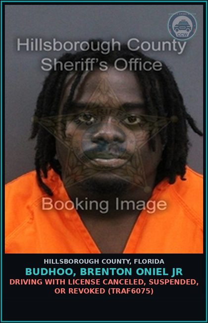 CCW arrest card for BUDHOO, BRENTON ONIEL JR in Hillsborough County: DRIVING WITH LICENSE CANCELED, SUSPENDED, OR REVOKED (TRAF6075)