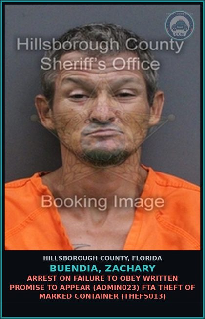 CCW arrest card for BUENDIA, ZACHARY in Hillsborough County: ARREST ON FAILURE TO OBEY WRITTEN PROMISE TO APPEAR (ADMIN023) FTA THEFT OF MARKED CONTAINER (THEF5013)