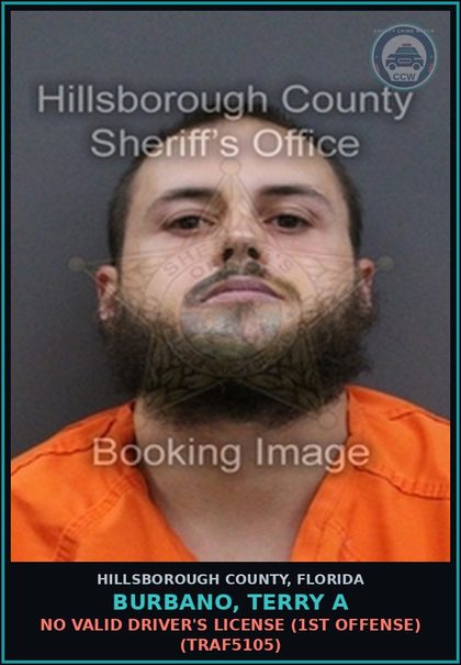 CCW arrest card for BURBANO, TERRY A in Hillsborough County: NO VALID DRIVER'S LICENSE (1ST OFFENSE) (TRAF5105)