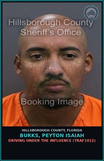 CCW arrest card for BURKS, PEYTON ISAIAH in Hillsborough County: DRIVING UNDER THE INFLUENCE (TRAF1012)
