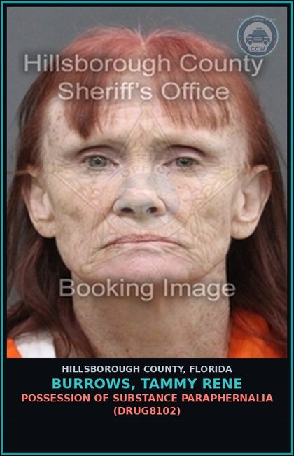 CCW arrest card for BURROWS, TAMMY RENE in Hillsborough County: POSSESSION OF DRUG PARAPHERNALIA (DRUG8102)