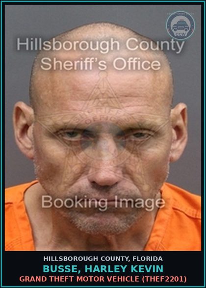 CCW arrest card for BUSSE, HARLEY KEVIN in Hillsborough County: GRAND THEFT MOTOR VEHICLE (THEF2201)