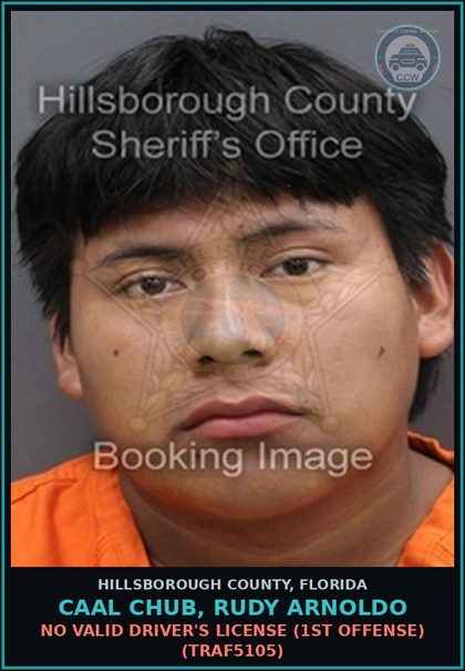 CCW arrest card for CAAL CHUB, RUDY ARNOLDO in Hillsborough County: NO VALID DRIVER'S LICENSE (1ST OFFENSE) (TRAF5105)