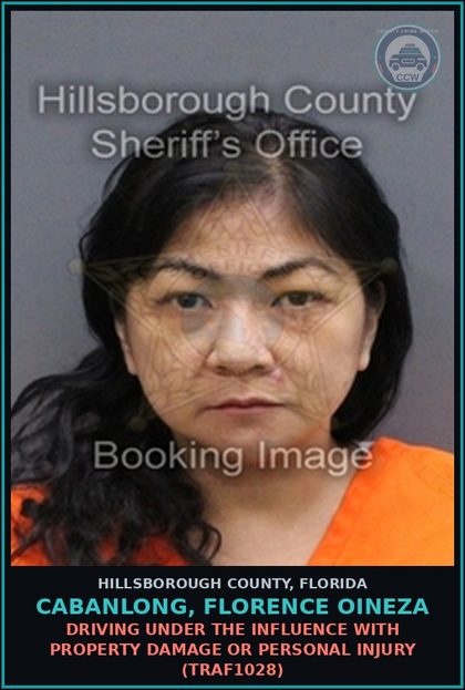 CCW arrest card for CABANLONG, FLORENCE OINEZA in Hillsborough County: DRIVING UNDER THE INFLUENCE WITH PROPERTY DAMAGE OR PERSONAL INJURY (TRAF1028)