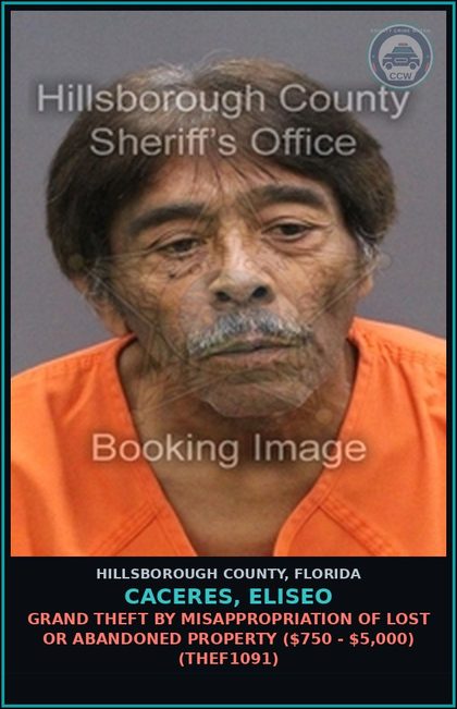 CCW arrest card for CACERES, ELISEO in Hillsborough County: GRAND THEFT BY MISAPPROPRIATION OF LOST OR ABANDONED PROPERTY ($750 - $5,000) (THEF1091)