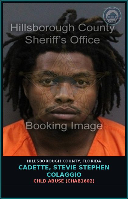 CCW arrest card for CADETTE, STEVIE STEPHEN COLAGGIO in Hillsborough County: chld ABUSE (CHAB1602)