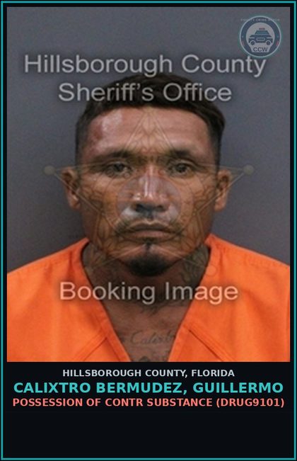 CCW arrest card for CALIXTRO BERMUDEZ, GUILLERMO in Hillsborough County: RESISTING OFFICER WITH VIOLENCE (COPS2005)