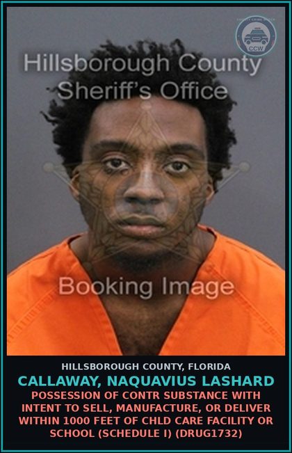 CCW arrest card for CALLAWAY, NAQUAVIUS LASHARD in Hillsborough County: POSSESSION OF contr substance WITH INTENT TO SELL, MANUFACTURE, OR DELIVER WITHIN 1000 FEET OF chld CARE FACILITY OR SCHOOL (SCHEDULE I) (DRUG1732)