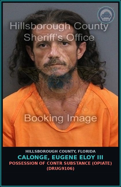 CCW arrest card for CALONGE, EUGENE ELOY III in Hillsborough County: POSSESSION OF contr substance (OPIATE) (DRUG9106)