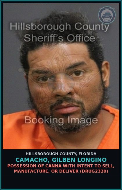 CCW arrest card for CAMACHO, GILBEN LONGINO in Hillsborough County: POSSESSION OF Canna WITH INTENT TO SELL, MANUFACTURE, OR DELIVER (DRUG2320)
