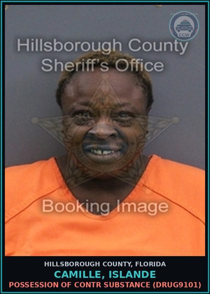 CCW arrest card for CAMILLE, ISLANDE in Hillsborough County: POSSESSION OF contr substance (DRUG9101)