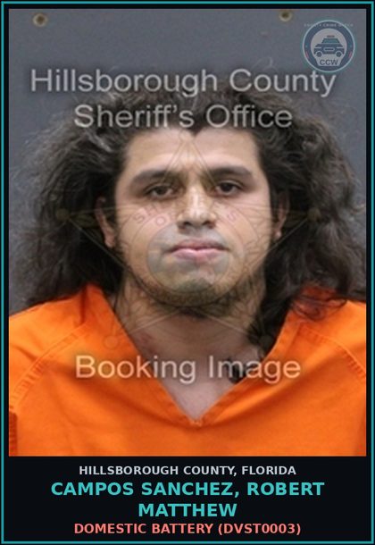 CCW arrest card for CAMPOS SANCHEZ, ROBERT MATTHEW in Hillsborough County: DOMESTIC BATTERY (DVST0003)