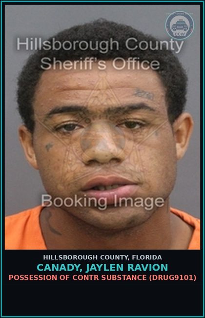 CCW arrest card for CANADY, JAYLEN RAVION in Hillsborough County: POSSESSION OF contr substance (DRUG9101)