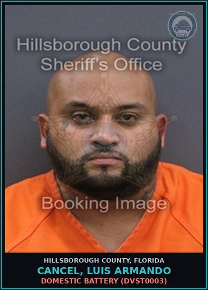 CCW arrest card for CANCEL, LUIS ARMANDO in Hillsborough County: VOP (VOP) VOP PETIT THEFT FIRST DEGREE ($100 OR MORE BUT LESS THAN $750)