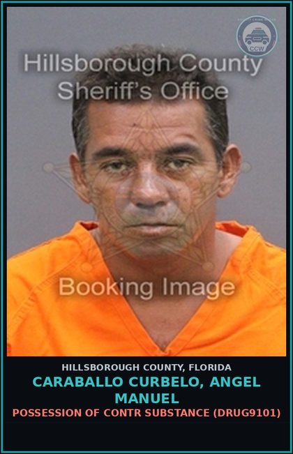 CCW arrest card for CARABALLO CURBELO, ANGEL MANUEL in Hillsborough County: POSSESSION OF contr substance (DRUG9101)