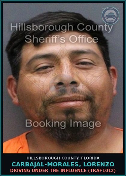 CCW arrest card for CARBAJAL-MORALES, LORENZO in Hillsborough County: DRIVING UNDER THE INFLUENCE (TRAF1012)