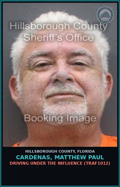 CCW arrest card for CARDENAS, MATTHEW PAUL in Hillsborough County: DRIVING UNDER THE INFLUENCE (TRAF1012)