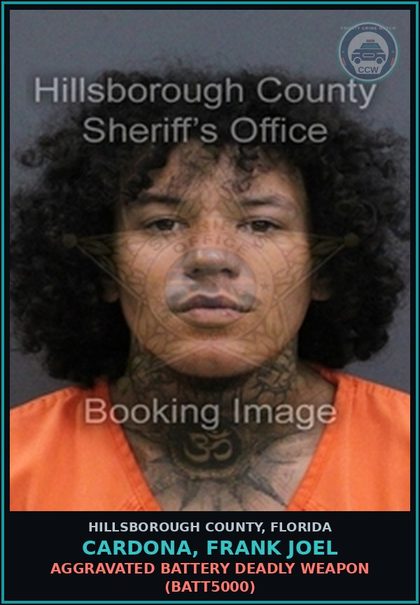 CCW arrest card for CARDONA, FRANK JOEL in Hillsborough County: DOMESTIC BATTERY (SECOND OR SUBSEQUENT OFFENSE) (DVST0004)