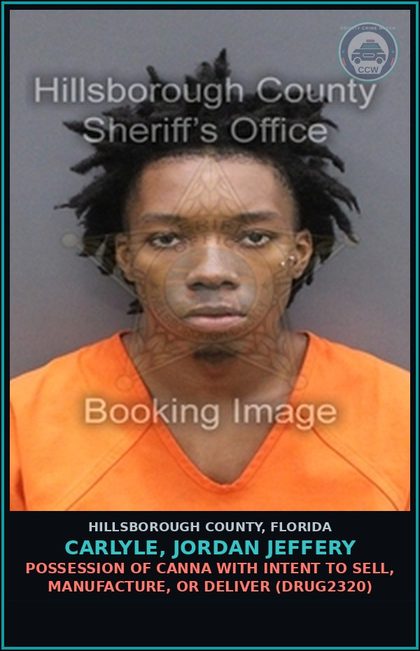 CCW arrest card for CARLYLE, JORDAN JEFFERY in Hillsborough County: POSSESSION OF Canna WITH INTENT TO SELL, MANUFACTURE, OR DELIVER (DRUG2320)
