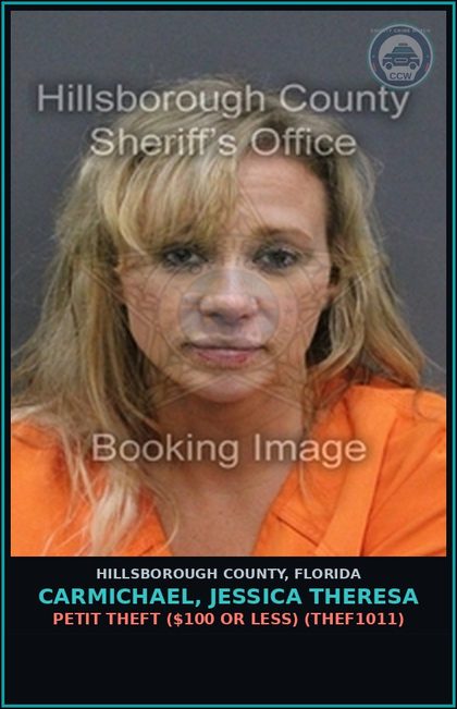 CCW arrest card for CARMICHAEL, JESSICA THERESA in Hillsborough County: DRIVING UNDER THE INFLUENCE (TRAF1012)