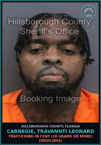 CCW arrest card for CARNEGIE, TRAVANNTI LEONARD in Hillsborough County: TRAFFICKING IN Fent (28 GRAMS OR MORE) (DRUG3892)