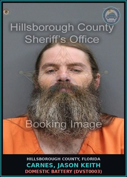 CCW arrest card for CARNES, JASON KEITH in Hillsborough County: DOMESTIC BATTERY (DVST0003)