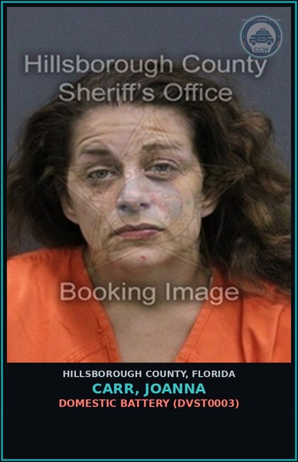 CCW arrest card for CARR, JOANNA in Hillsborough County: DOMESTIC BATTERY (DVST0003)