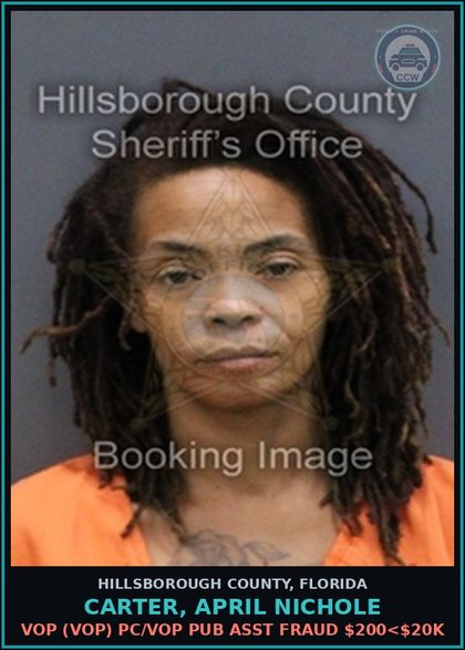 CCW arrest card for CARTER, APRIL NICHOLE in Hillsborough County: FALSE NAME TO LAW ENFORCEMENT OFFICER (COPS2060)