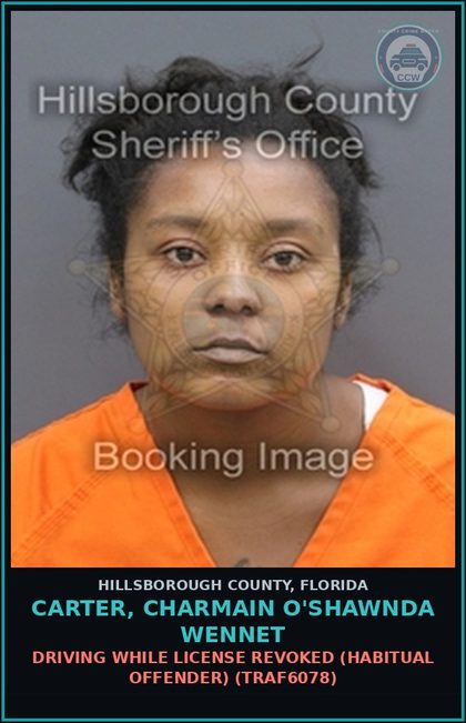 CCW arrest card for CARTER, CHARMAIN O'SHAWNDA WENNET in Hillsborough County: DRIVING WHILE LICENSE REVOKED (HABITUAL OFFENDER) (TRAF6078)