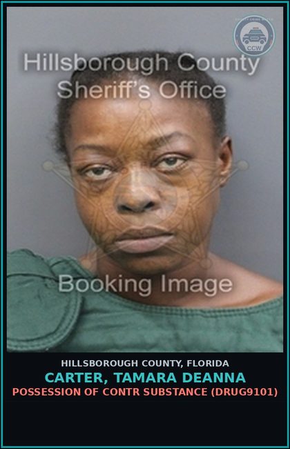 CCW arrest card for CARTER, TAMARA DEANNA in Hillsborough County: POSSESSION OF contr substance (DRUG9101)