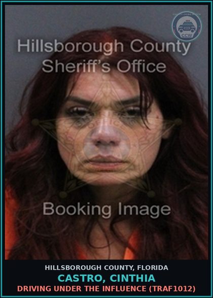 CCW arrest card for CASTRO, CINTHIA in Hillsborough County: DRIVING UNDER THE INFLUENCE (TRAF1012)