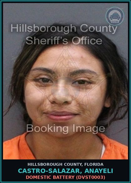 CCW arrest card for CASTRO-SALAZAR, ANAYELI in Hillsborough County: DOMESTIC BATTERY (DVST0003)
