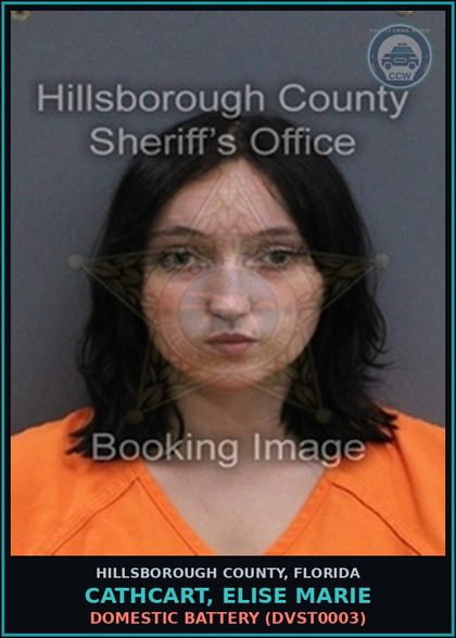CCW arrest card for CATHCART, ELISE MARIE in Hillsborough County: DOMESTIC BATTERY (DVST0003)
