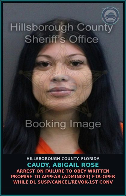 CCW arrest card for CAUDY, ABIGAIL ROSE in Hillsborough County: ARREST ON FAILURE TO OBEY WRITTEN PROMISE TO APPEAR (ADMIN023) FTA-OPER WHILE DL SUSP/CANCEL/REVOK-1ST CONV