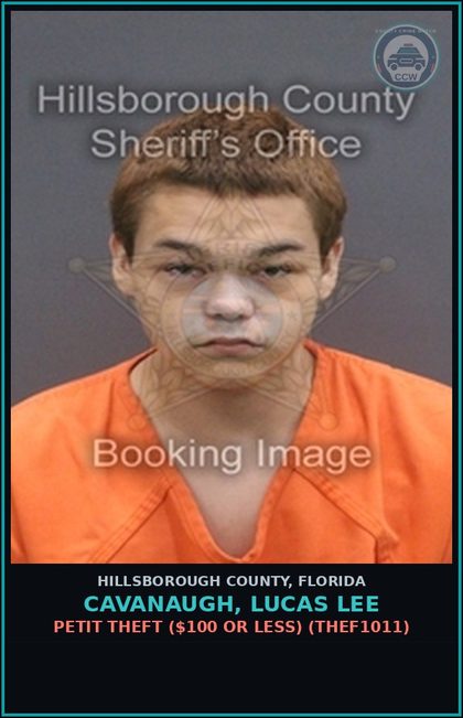 CCW arrest card for CAVANAUGH, LUCAS LEE in Hillsborough County: PETIT THEFT ($100 OR LESS) (THEF1011)