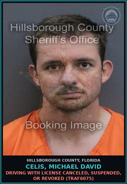 CCW arrest card for CELIS, MICHAEL DAVID in Hillsborough County: DRIVING WITH LICENSE CANCELED, SUSPENDED, OR REVOKED (TRAF6075)