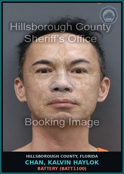 CCW arrest card for CHAN, KALVIN HAYLOK in Hillsborough County: BATTERY (BATT1100)