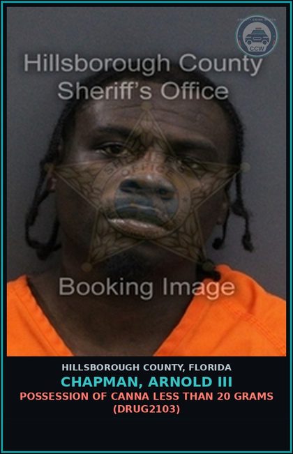 CCW arrest card for CHAPMAN, ARNOLD III in Hillsborough County: DRIVING WITH LICENSE CANCELED, SUSPENDED, OR REVOKED (3RD OFFENSE) (TRAF6077)