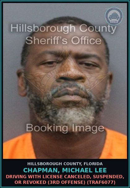 CCW arrest card for CHAPMAN, MICHAEL LEE in Hillsborough County: DRIVING WITH LICENSE CANCELED, SUSPENDED, OR REVOKED (3RD OFFENSE) (TRAF6077)