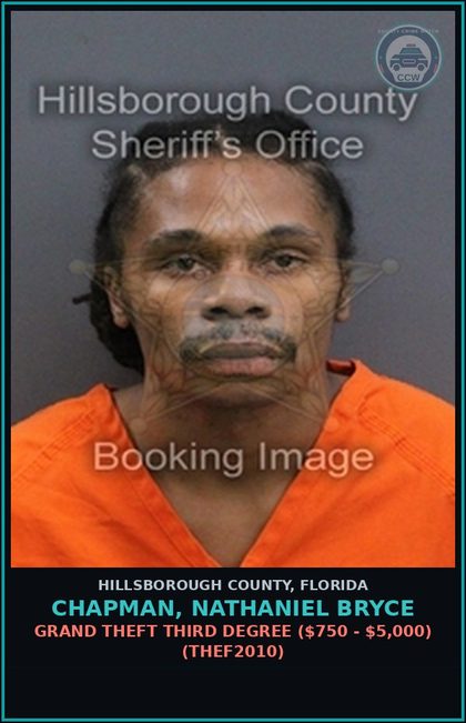 CCW arrest card for CHAPMAN, NATHANIEL BRYCE in Hillsborough County: GRAND THEFT THIRD DEGREE ($750 - $5,000) (THEF2010)