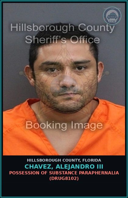 CCW arrest card for CHAVEZ, ALEJANDRO III in Hillsborough County: RESISTING OFFICER WITHOUT VIOLENCE (COPS1001)