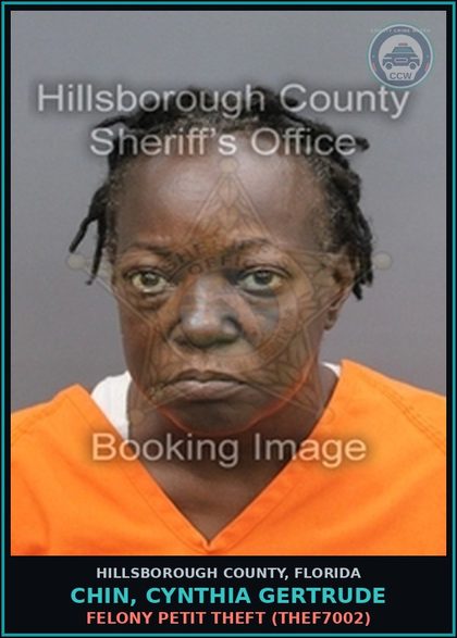 CCW arrest card for CHIN, CYNTHIA GERTRUDE in Hillsborough County: FELONY PETIT THEFT (THEF7002)
