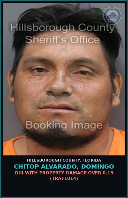 CCW arrest card for CHITOP ALVARADO, DOMINGO in Hillsborough County: DUI WITH PROPERTY DAMAGE OVER 0.15 (TRAF1014)