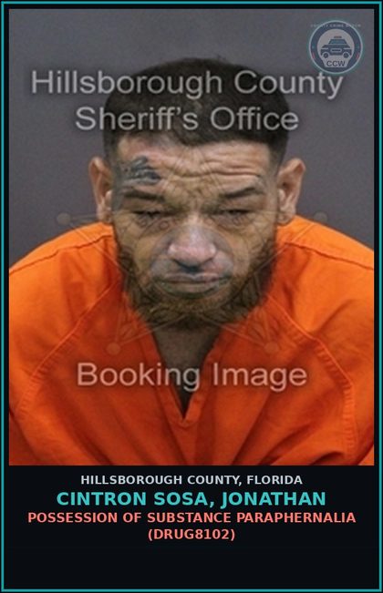 CCW arrest card for CINTRON SOSA, JONATHAN in Hillsborough County: POSSESSION OF DRUG PARAPHERNALIA (DRUG8102)