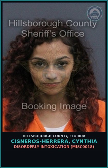 CCW arrest card for CISNEROS-HERRERA, CYNTHIA in Hillsborough County: DISORDERLY INTOXICATION (MISC0018)