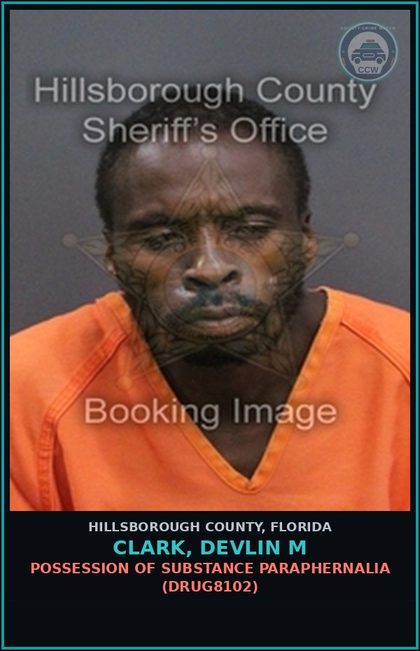 CCW arrest card for CLARK, DEVLIN M in Hillsborough County: POSSESSION OF DRUG PARAPHERNALIA (DRUG8102)