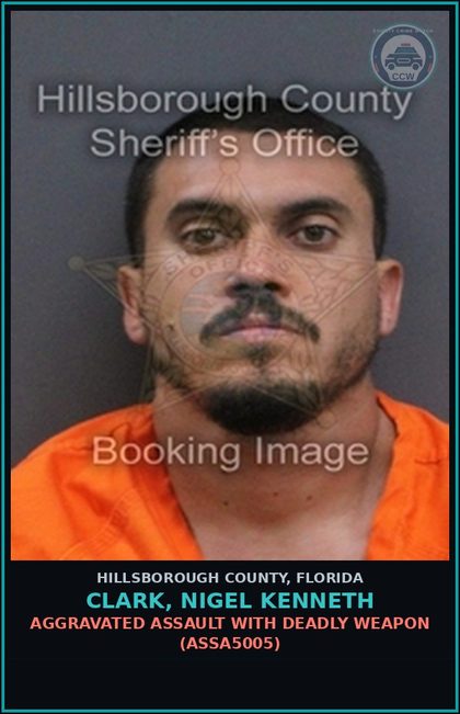 CCW arrest card for CLARK, NIGEL KENNETH in Hillsborough County: DOMESTIC BATTERY (DVST0003)