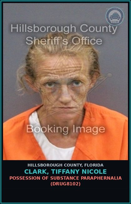 CCW arrest card for CLARK, TIFFANY NICOLE in Hillsborough County: POSSESSION OF DRUG PARAPHERNALIA (DRUG8102)